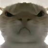 shuai_geyyds