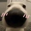 huynhduc_kkk