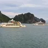 ha.nguyen.ngoc1