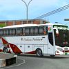 bus.lover594