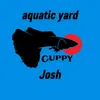 joshua938o