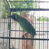 bmk_4527