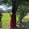 subah1505