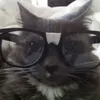 kirololxd