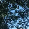 fernandacarvalh000