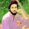 muhammadhussain9934