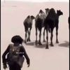 dubai22.1