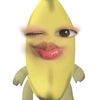 dion___11