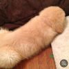 susu___ghh