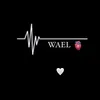 wael1017