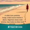 lidianealves8081