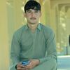user1981718017062