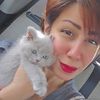 hi.catq8