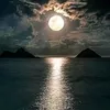 mustfa.falah4