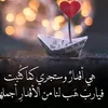 user8772981506991