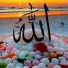islamicvideos2416