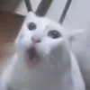 nicolasbenjamln