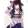 tt.v00l