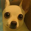 danaquatic