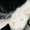 alexiitoo_
