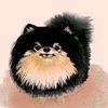user1838070518700