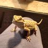 mechataco