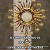 www.tiktok.conluisflor
