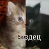 userzxkle266yv