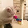kittylucky666