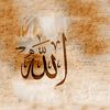 misbah.ul.haq.939