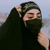 zah313.0