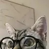 badgurlreii