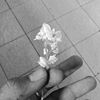 dogm4n_06