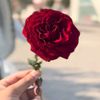 notyourrajput310