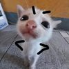 ..eleeee00