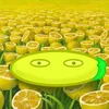 lemon4kop