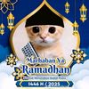 diazz_ww2ff