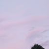 callme.risaa1