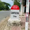 tuanpham6161