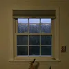 itslittelbunny