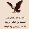 user8261630281491