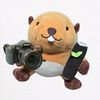 beaver_photographer