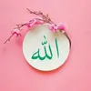 user9581395842514