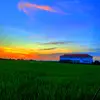 nhattruong_123