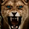 khaledzootob