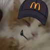 cinnamiont0astcrunch