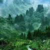 lai.cm.nhanh