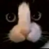 nndaa_str