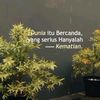 korbangosthing838