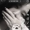 chippe_nee.1